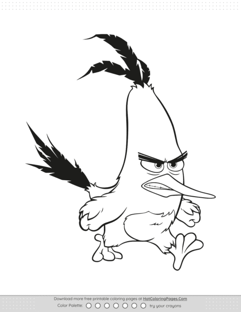 Angry Bird Chuck Coloring Pages