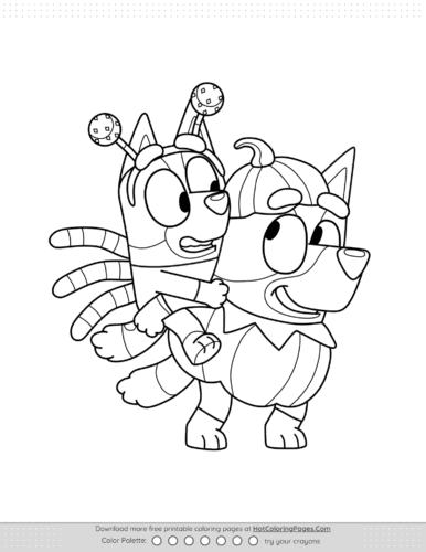 Spider Bingo and Pumpkin Bluey